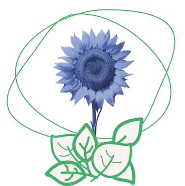 ceci est une icone qui représente un tournesol au centre du cercle et des feuilles verte en bas